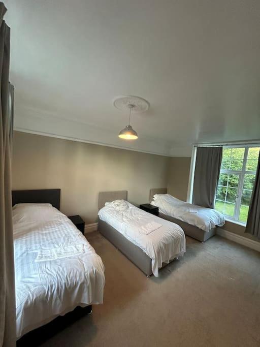 Henstridge House Villa Ilfracombe Buitenkant foto